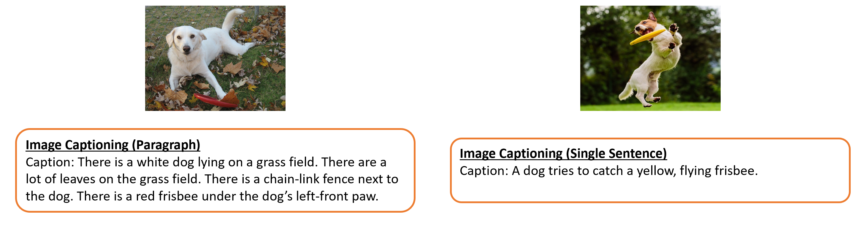 Image Captioning