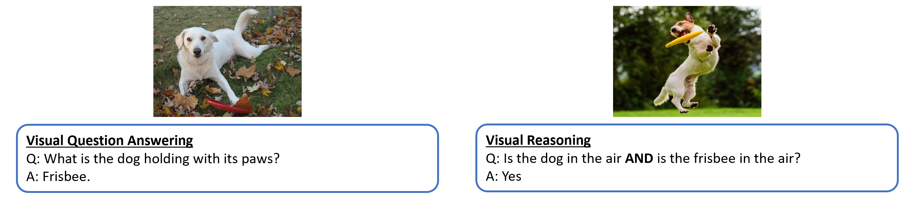 VQA