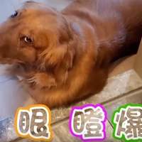 Yih-Dar SHIEH's avatar